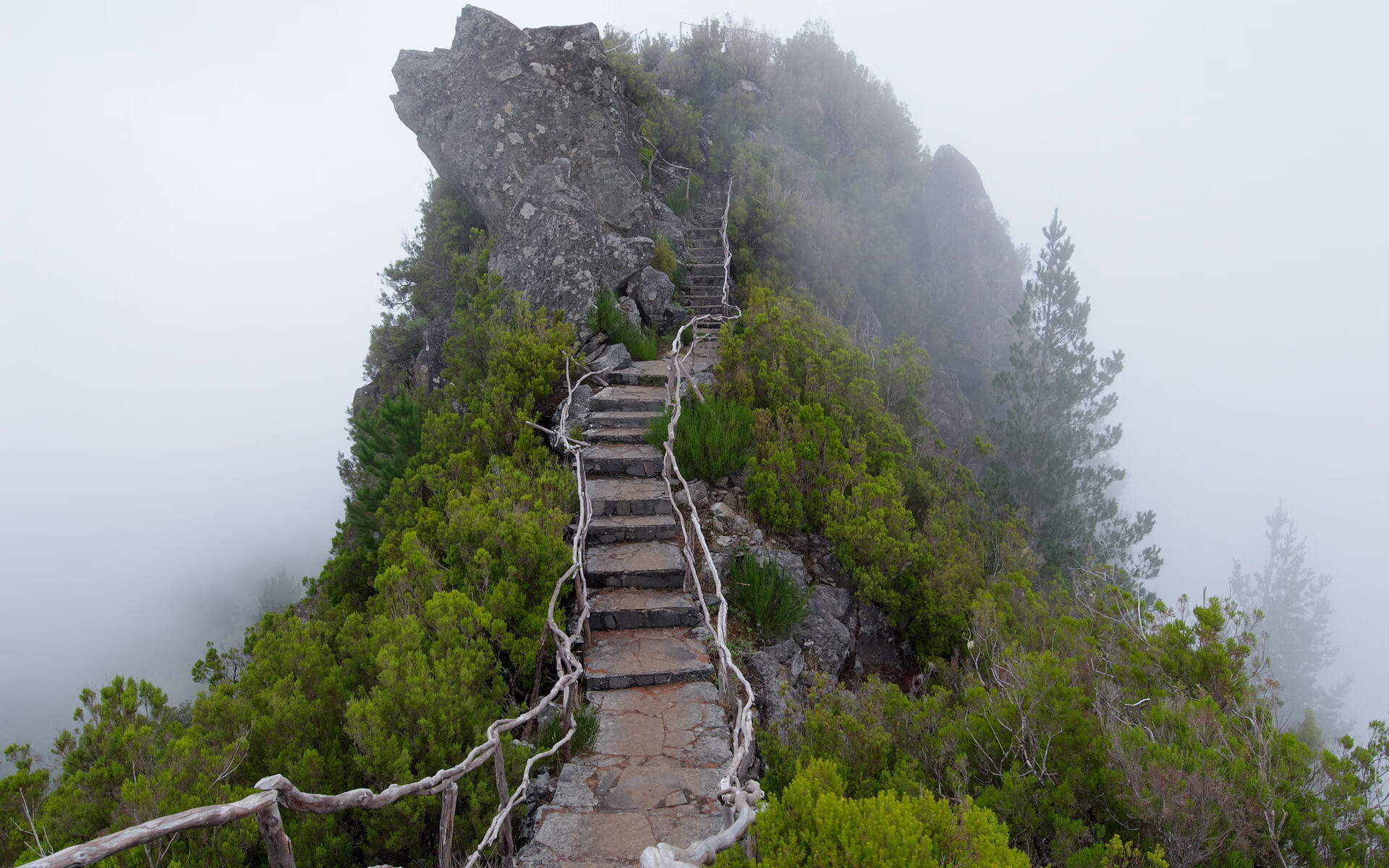 2026年世界拔河锦标赛 东亚与北欧劲旅巅峰对决握绳不放,2020年世界拔河比赛